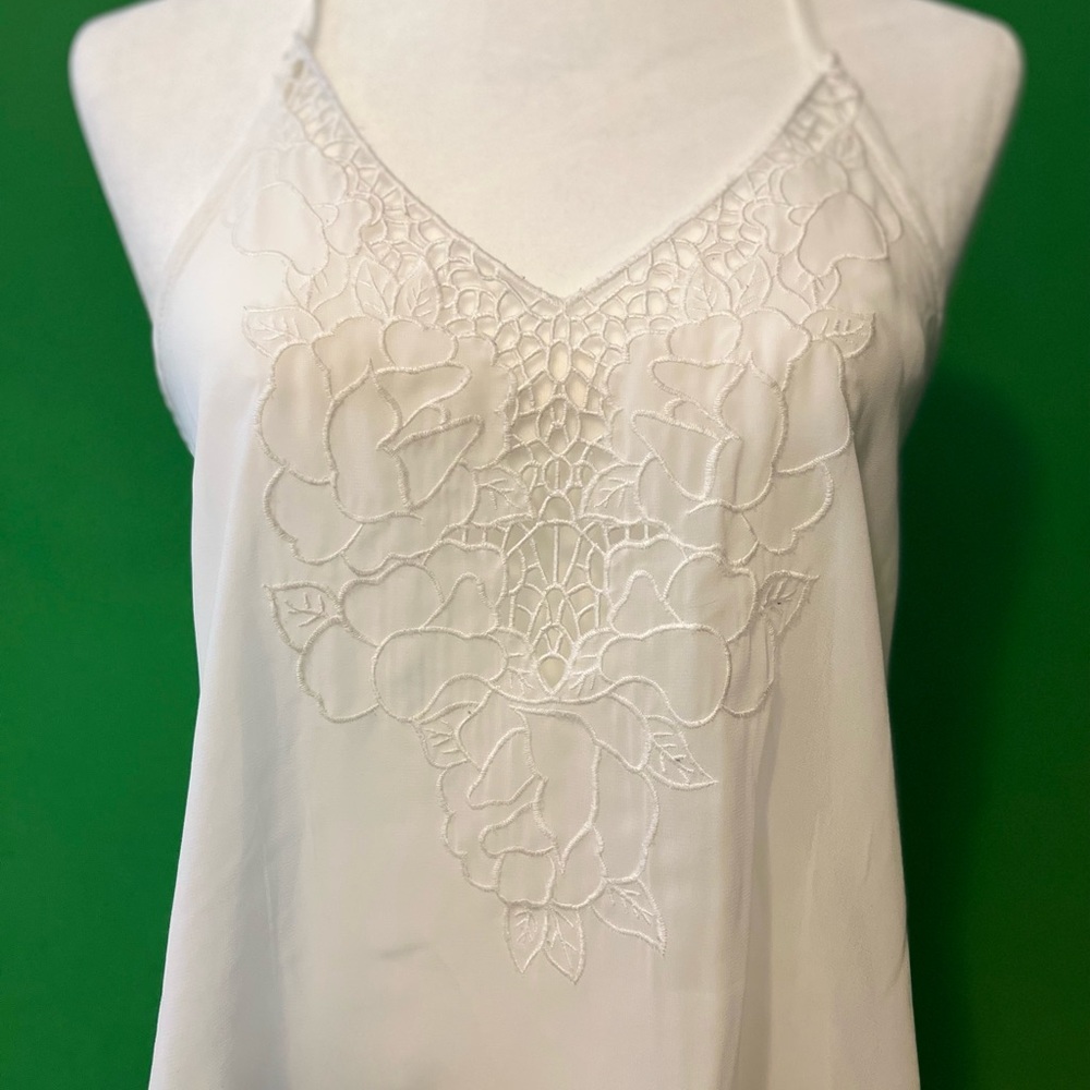 Brandy Melville Sheer Top